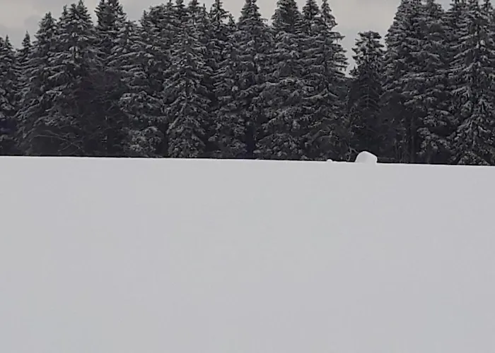 -a201- Apartamento *